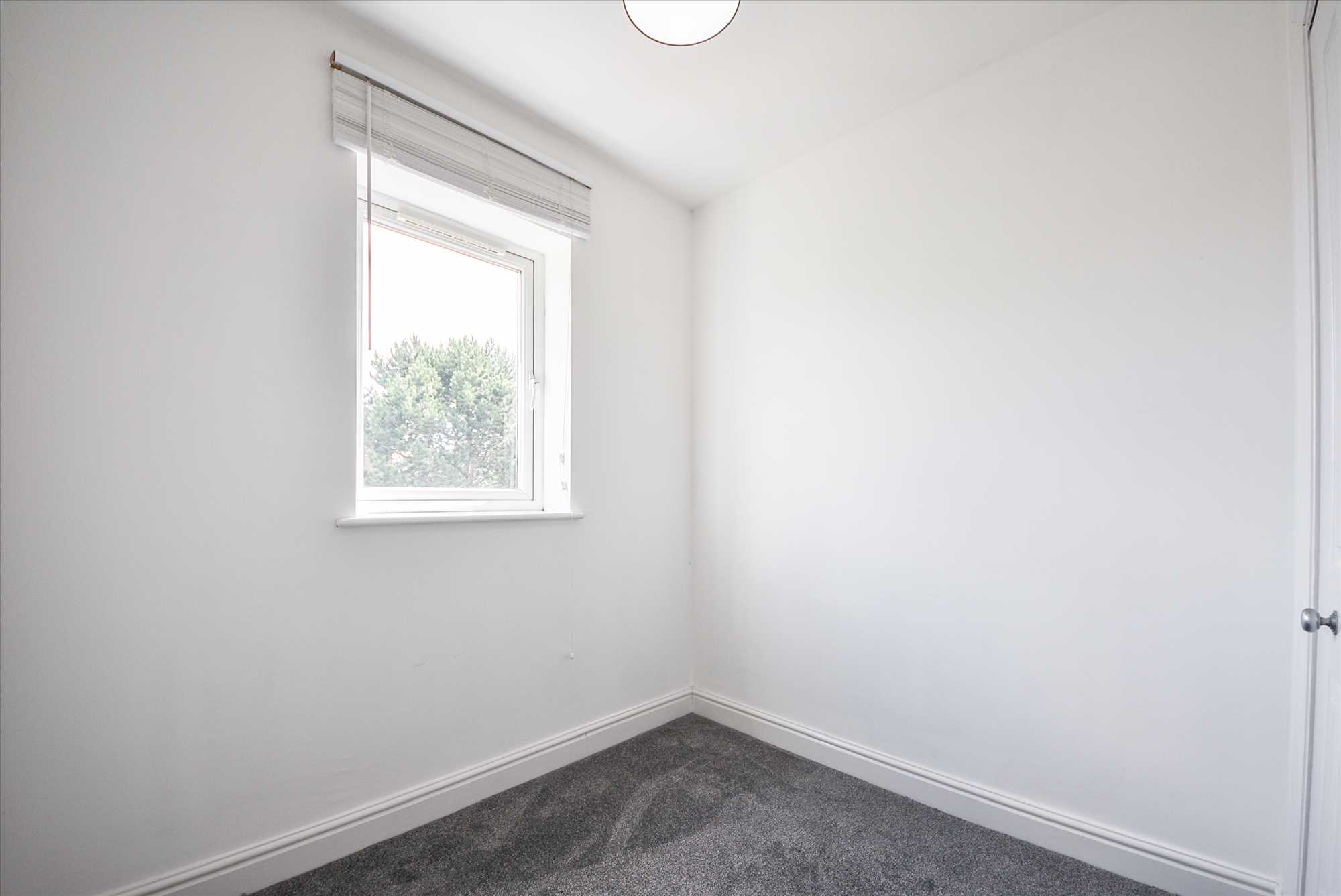 The Pines, Midland Road, Wellingborough, NN8 1NF - Picture 5