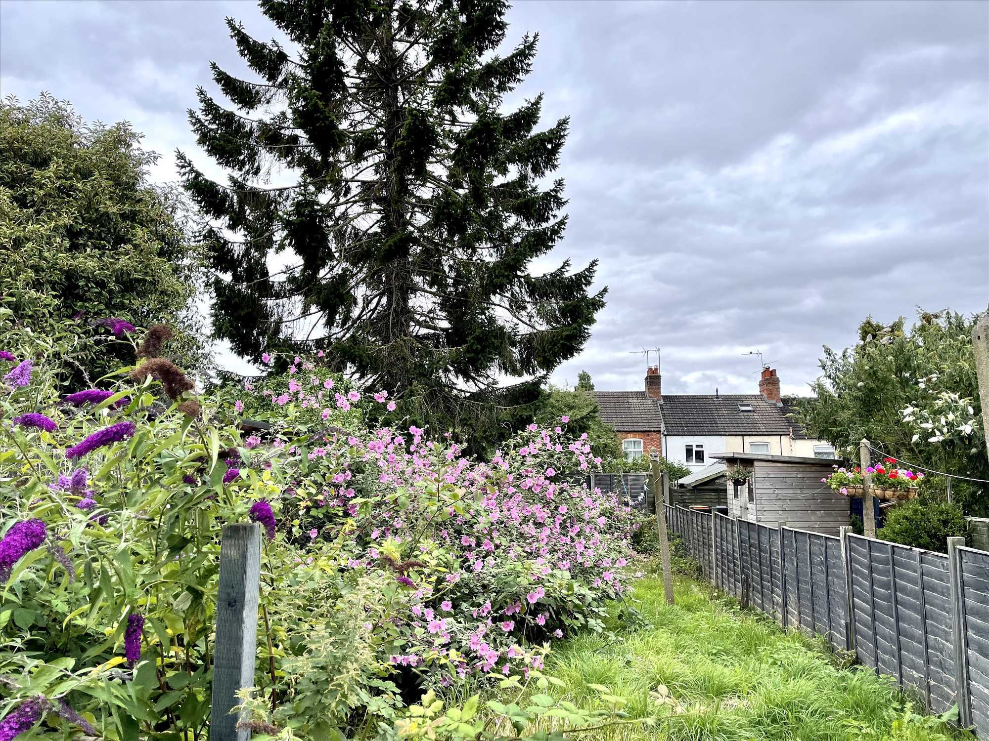 Cambridge Steet, Wymington, NN10 9LG - Picture 11